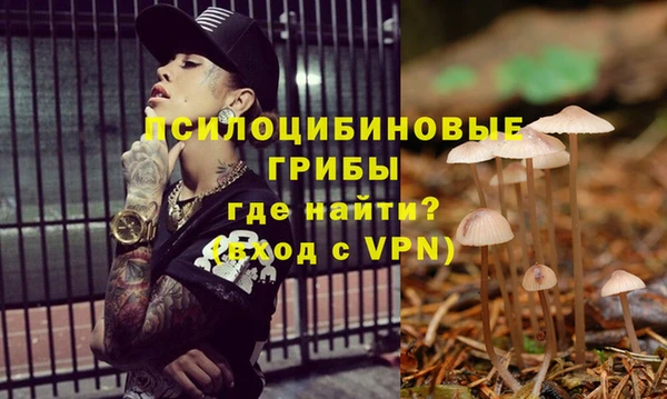 бутират Ельня