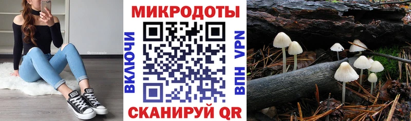 закладка Благовещенск площадка состав Псилоцибиновые грибы мухоморы